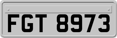 FGT8973