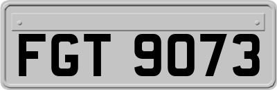 FGT9073