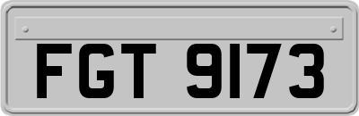 FGT9173