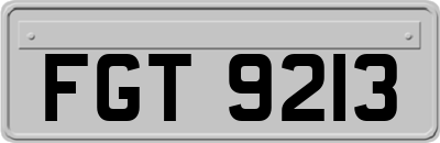 FGT9213