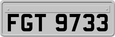 FGT9733