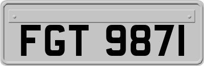 FGT9871