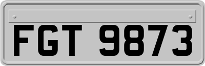 FGT9873