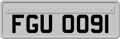 FGU0091