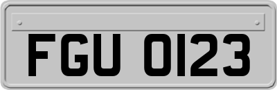 FGU0123