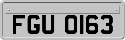 FGU0163