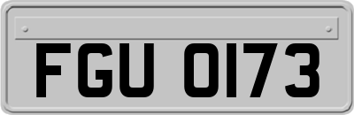 FGU0173