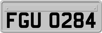 FGU0284