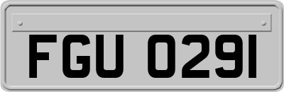 FGU0291