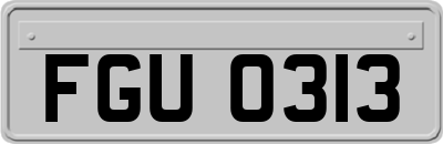FGU0313