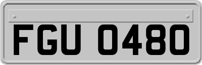 FGU0480