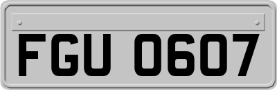 FGU0607