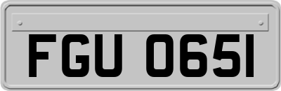 FGU0651