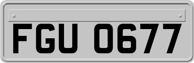 FGU0677