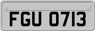 FGU0713