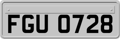 FGU0728