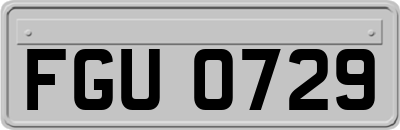 FGU0729