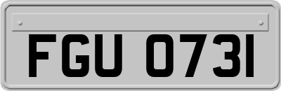 FGU0731