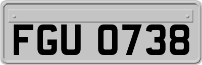 FGU0738