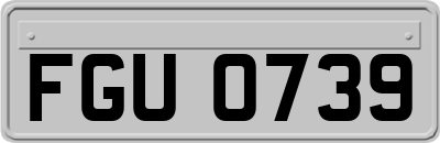 FGU0739