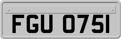 FGU0751