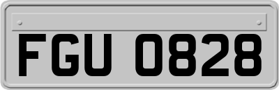 FGU0828