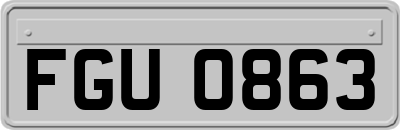 FGU0863
