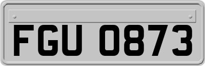FGU0873