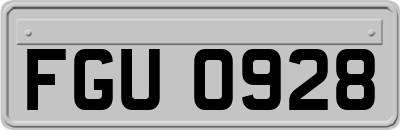 FGU0928