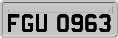 FGU0963