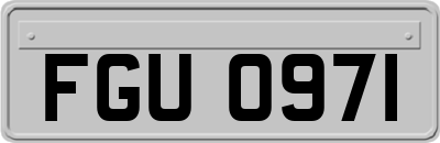 FGU0971