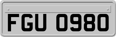FGU0980