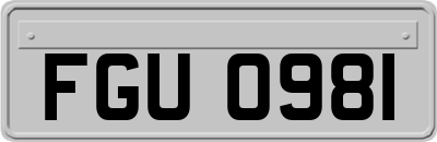 FGU0981