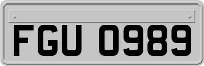 FGU0989