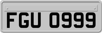 FGU0999