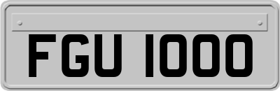 FGU1000
