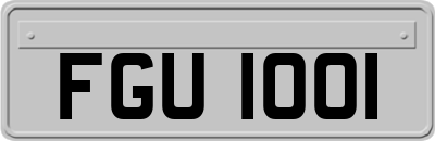 FGU1001