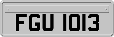 FGU1013