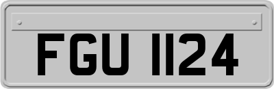 FGU1124