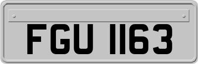 FGU1163