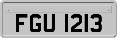 FGU1213