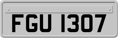 FGU1307