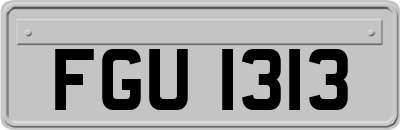 FGU1313