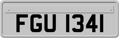 FGU1341