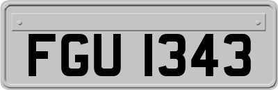 FGU1343