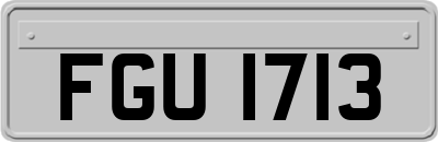 FGU1713