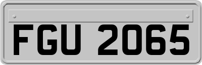 FGU2065