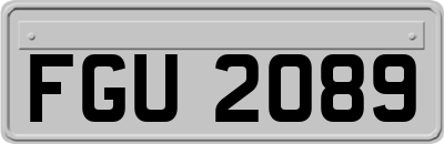 FGU2089