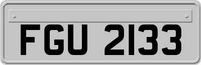 FGU2133