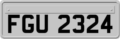 FGU2324
